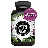 Curcuma Extrakt von FEEL NATURAL - (90 Kapseln) - laborgeprüft, vegan, hochdosiert, ohne unerwünschte Zusätze in Deutschland produziert