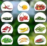 Chili Samen Set | 12 Varianten Chili Saatgut von scharf bis mild | Anzuchtset mit Chili Premium- Natursamen |einfache Aufzucht/Anzucht für Garten und Balkon