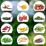 Chili Samen Set | 12 Varianten Chili Saatgut von scharf bis mild | Anzuchtset mit Chili Premium- Natursamen |einfache Aufzucht/Anzucht für Garten und Balkon