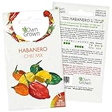 Chilisamen Habanero Mix: Premium Habanero Samen Mischung zum Anbau von Chili Pflanzen für Balkon und Garten – Habanero Chili Samen für bunte Chilipflanzen – 5 Chilli Samen scharf von OwnGrown