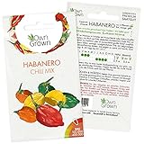 Chilisamen Habanero Mix: Premium Habanero Samen Mischung zum Anbau von Chili Pflanzen für Balkon und Garten – Habanero Chili Samen für bunte Chilipflanzen – 5 Chilli Samen scharf von OwnGrown