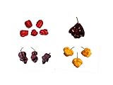 Chili Saatgut Set 8 x 10 Samen (Milde & Scharfe Sorten) Freilandtauglich