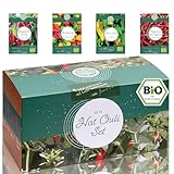 Bio Chili Anzuchtset - Züchte mit deinem Chili Anbauset 4 Sorten Chilis aus Bio Chili Samen- Eine einzigartige Geschenkidee - Das ideale Chili Geschenk Set für Männer und Frauen