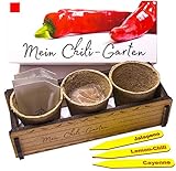 Mein Chili Garten - Ein originelles Geschenk für jeden Anlass. Ideales Chilianzucht-Set als Geschenk zu Weihnachten, Vatertag, Muttertag, Geburtstag oder Ostern