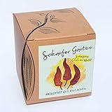 Geschenk-Anzuchtset"Scharfer Garten" mit Samen der schärfsten Chili der Welt