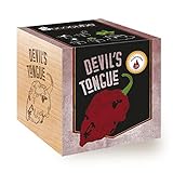 Feel Green Ecocube Devil's Tongue, Schärfegrad: 10, Scoville: 125.000-325.000, Nachhaltige Geschenkidee (100% Eco Friendly), Grow Your Own/Anzuchtset, Pflanzen Im Holzwürfel, Made in Austria