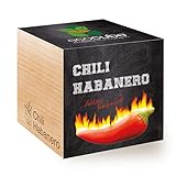 Feel Green Ecocube Chili Habanero, Feurig Scharf, Nachhaltige Geschenkidee (100% Eco Friendly), Grow Your Own/Anzuchtset, Pflanzen Im Holzwürfel 7.5 cm, Made in Austria