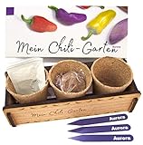 Mein Chili-Garten «Aurora»- Ein originelles Geschenk für jeden Anlass. «Aurora» Chili zum Züchten. Ideales Pflanzset als Geschenk zu Weihnachten, Vatertag, Muttertag, Geburtstag oder Ostern