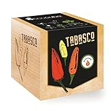 Chilipflanze 'Tabasco' im Holzwürfel - Chili Selection