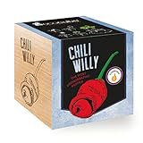 Ecocube Chily Willy