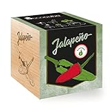 Ecocube Jalapeño