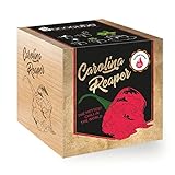 Ecocube Carolina Reaper