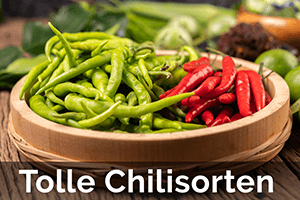 Chilisorten