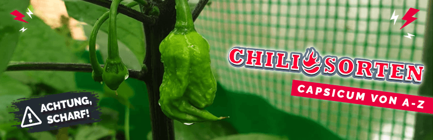 Chilisorten Slide